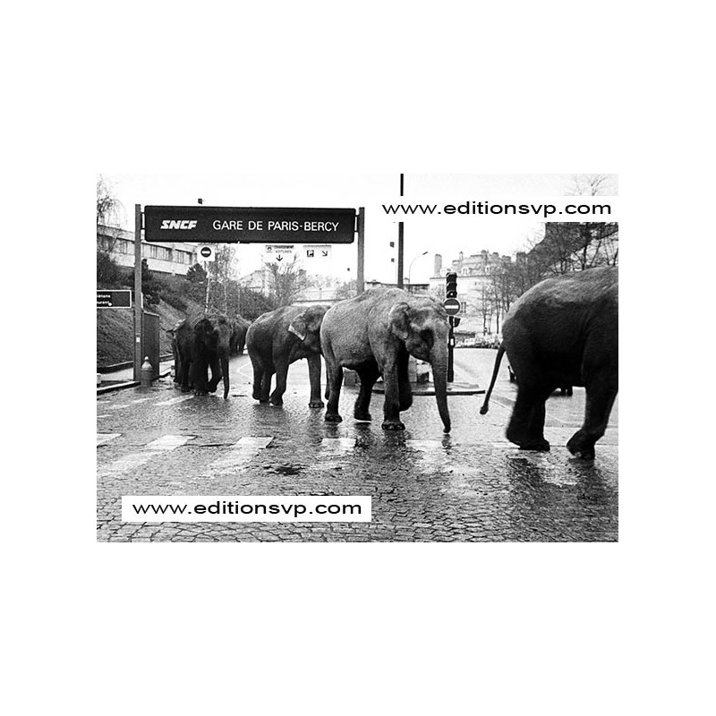 Les Elephants de Bercy
