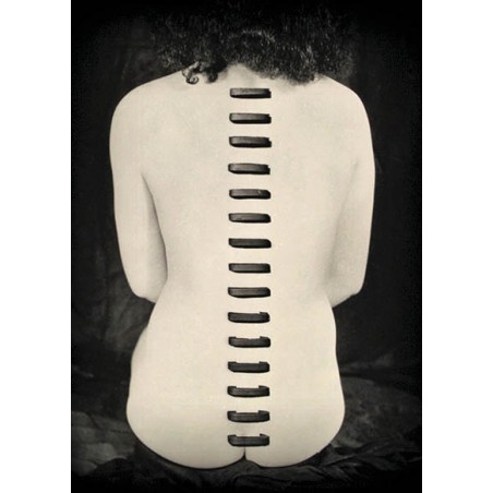 Stapled Flesh carte postale