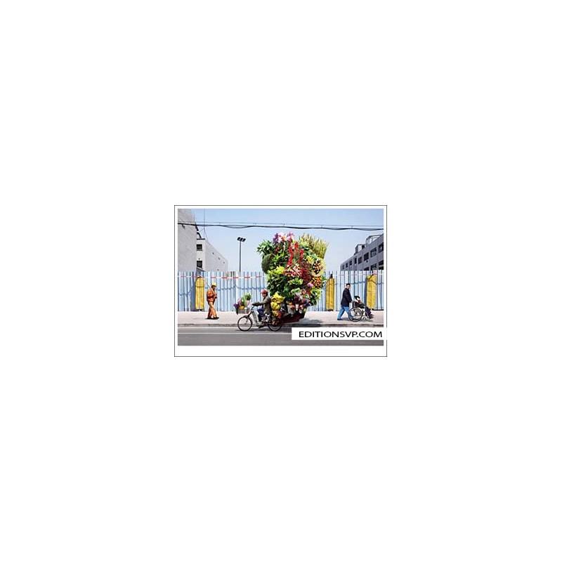 10 postcards Alain DELORME Flowers