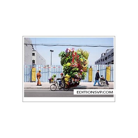 10 postcards Alain DELORME Flowers