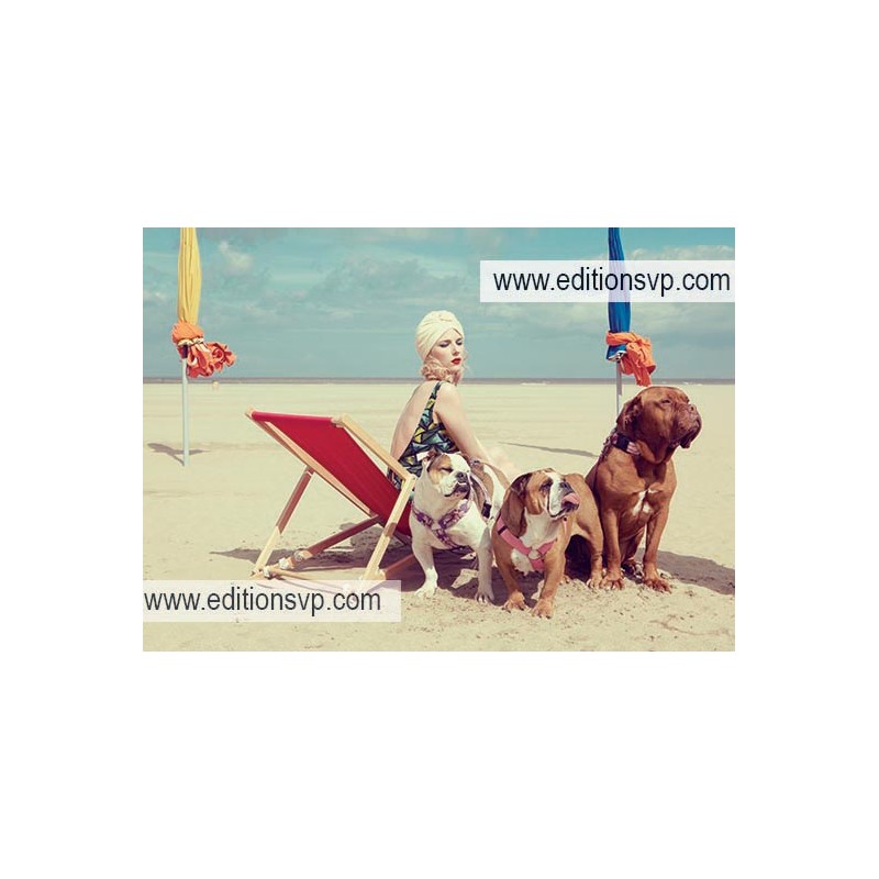 Plage de Deauville, une femme en maillot de bain rétro dans sa chaise longue avec ses 3 dogues