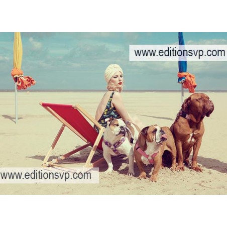 Plage de Deauville, une femme en maillot de bain rétro dans sa chaise longue avec ses 3 dogues