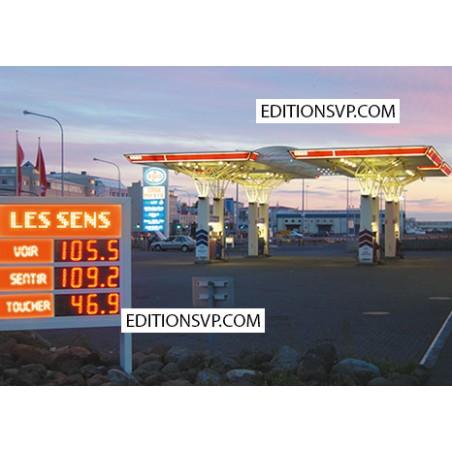 Une station des Sens ici vous pouvez faire le plein de sens. choisissez voir, sentir ou toucher.